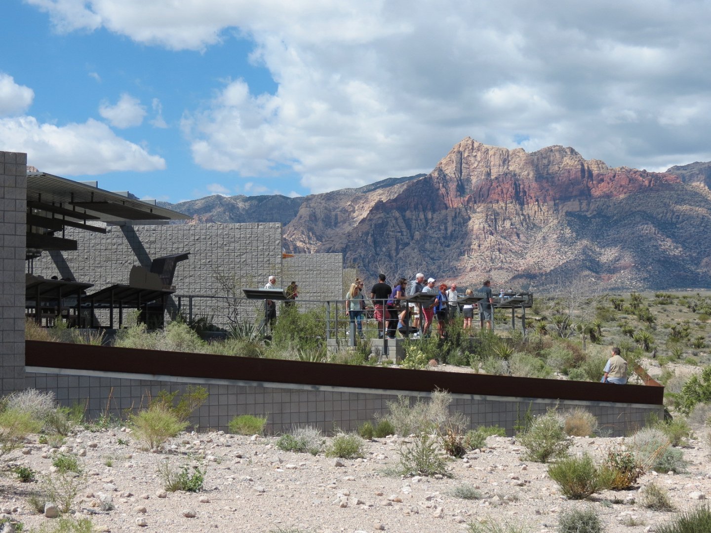 Red Rock Canyon - Desert Tortoise Habitats