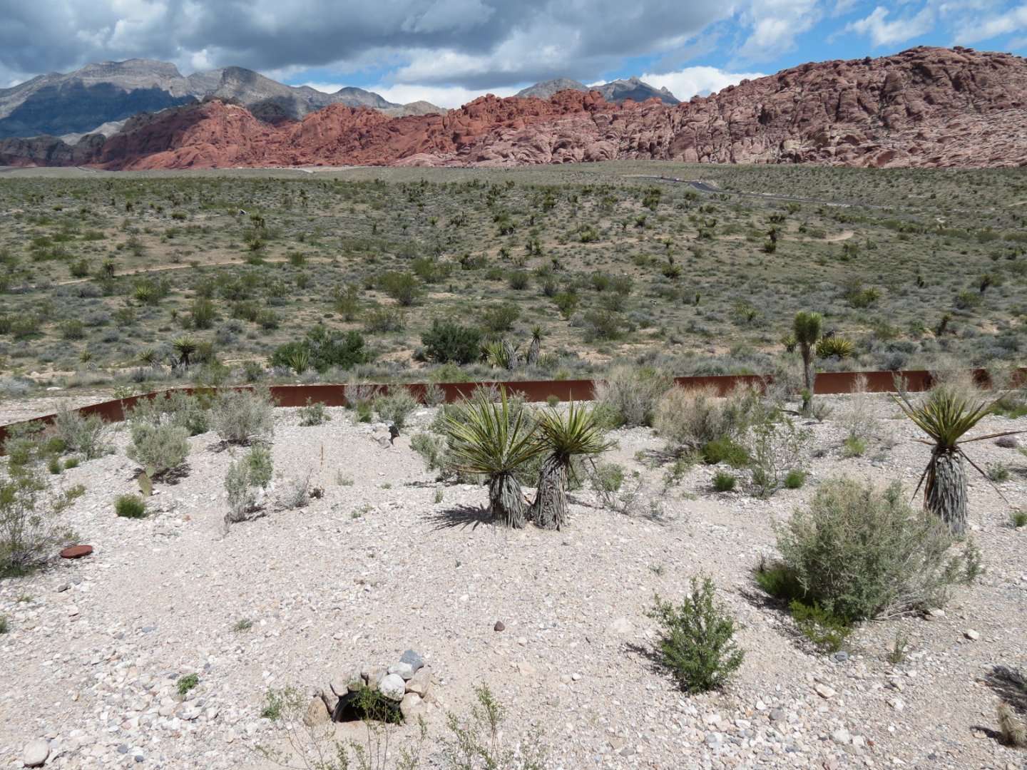 Red Rock Canyon - Desert Tortoise Habitats
