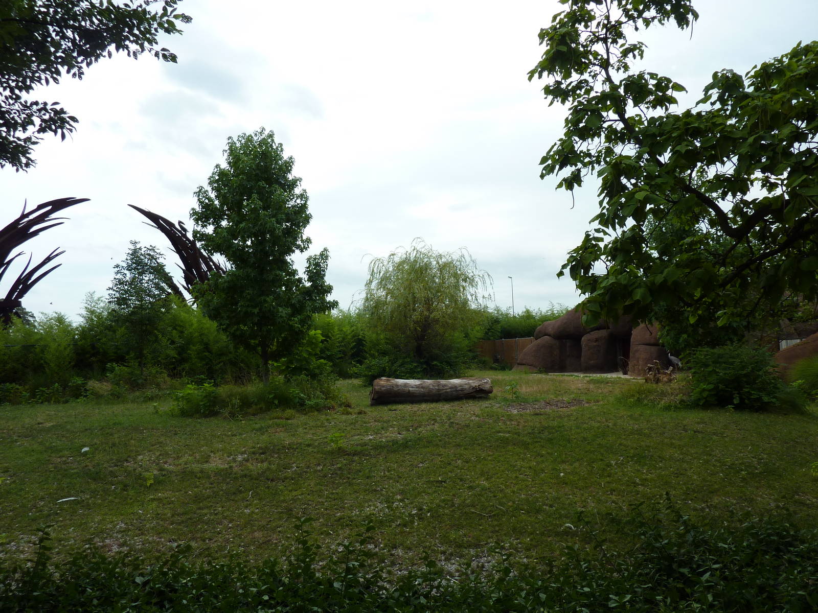 Red Rocks - Banteng/Sarus Crane Exhibit