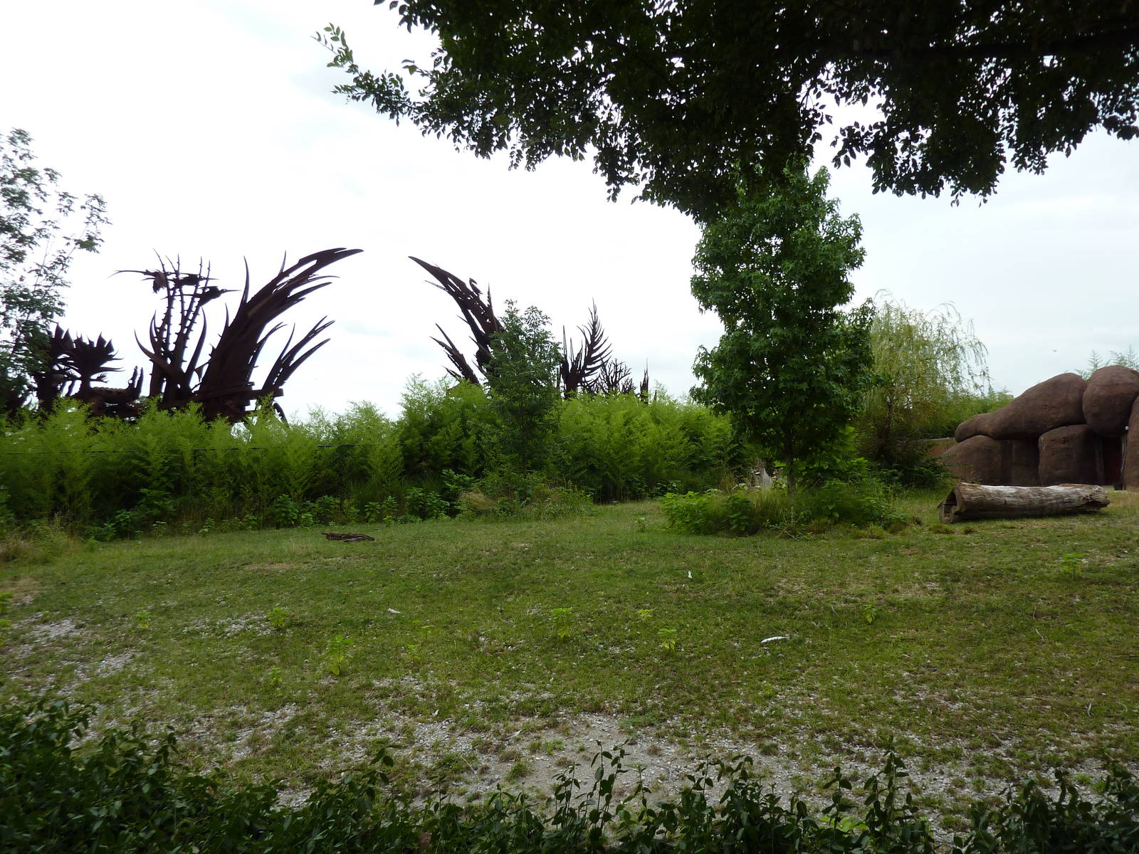 Red Rocks - Banteng/Sarus Crane Exhibit