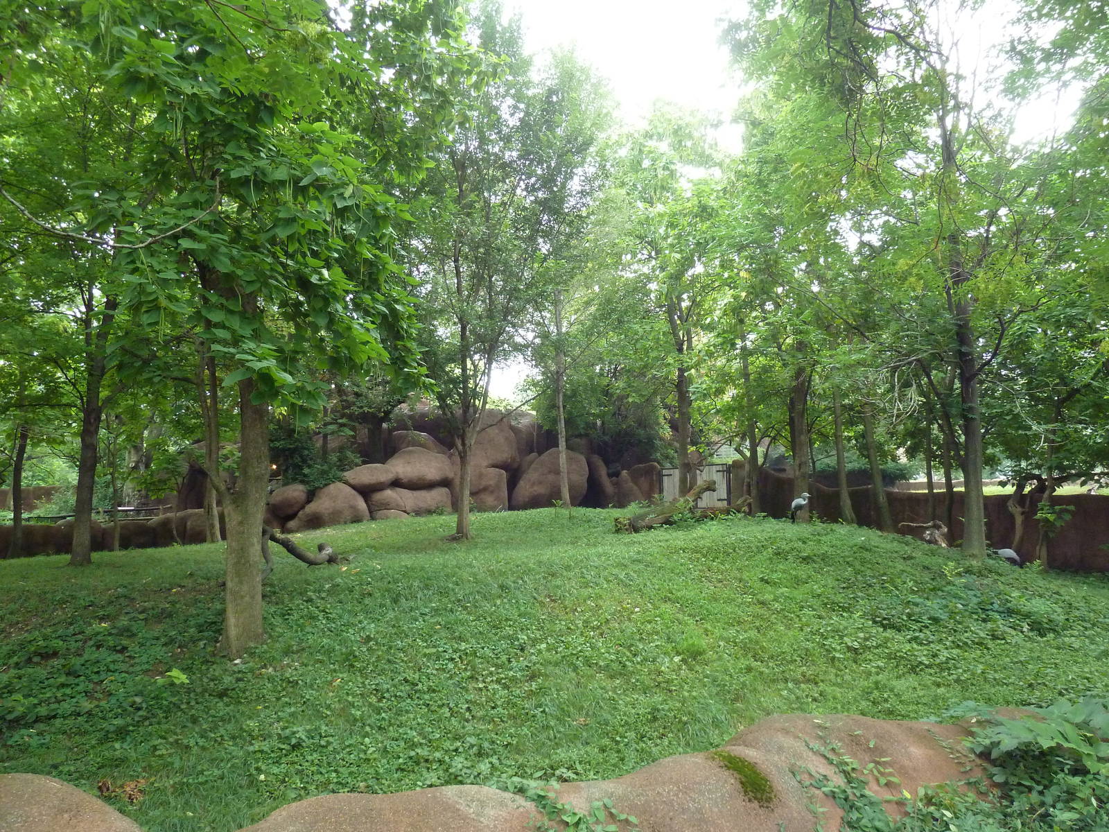 Red Rocks - Bongo + Blue Crane Exhibit