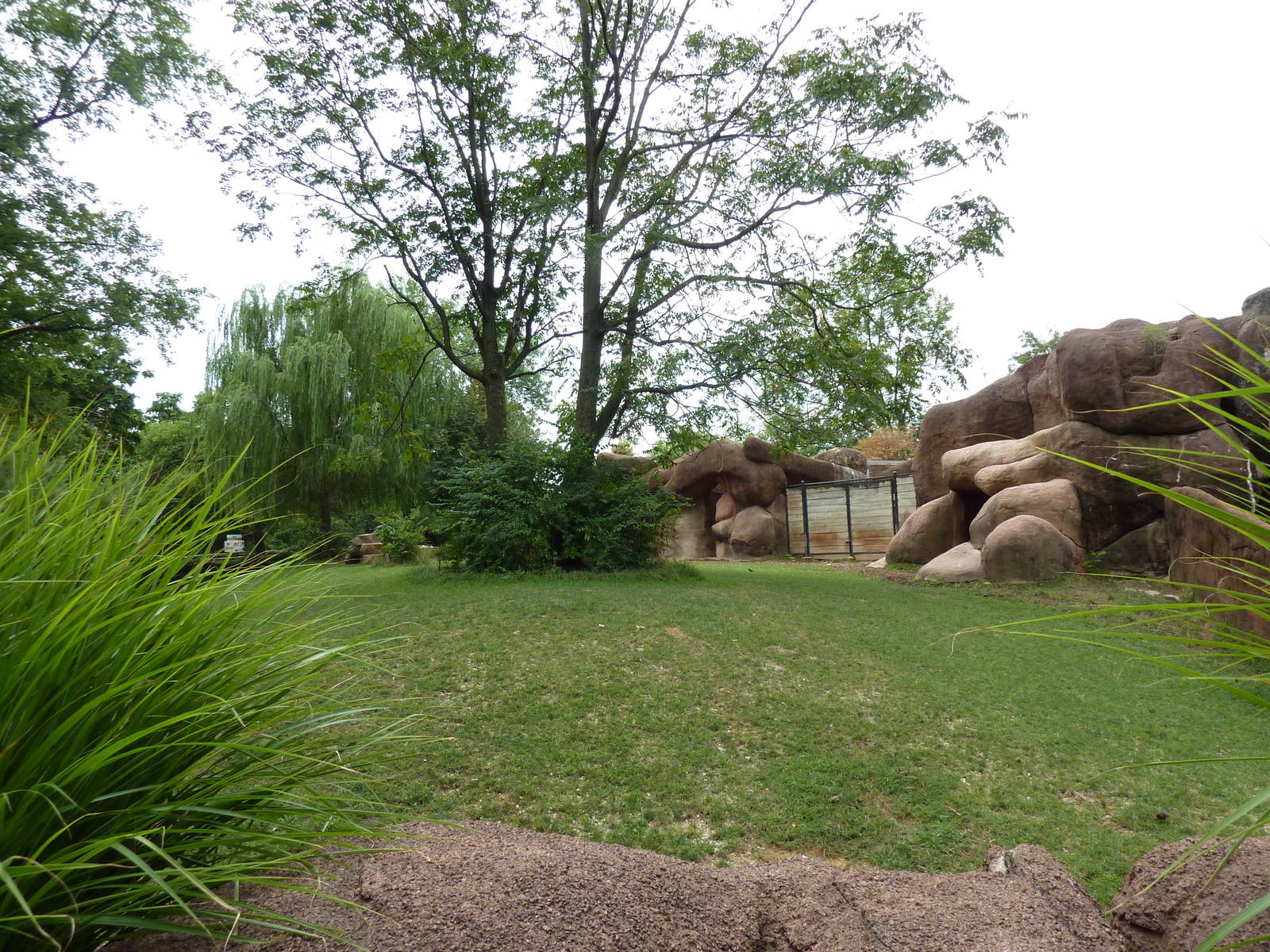 Red Rocks - Chinese Goral/SichuanTakin/Indian Muntjac Exhibit