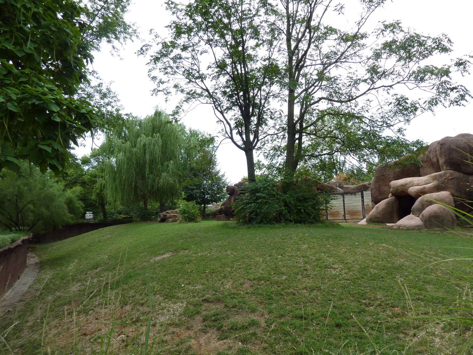 Red Rocks - Chinese Goral/SichuanTakin/Indian Muntjac Exhibit