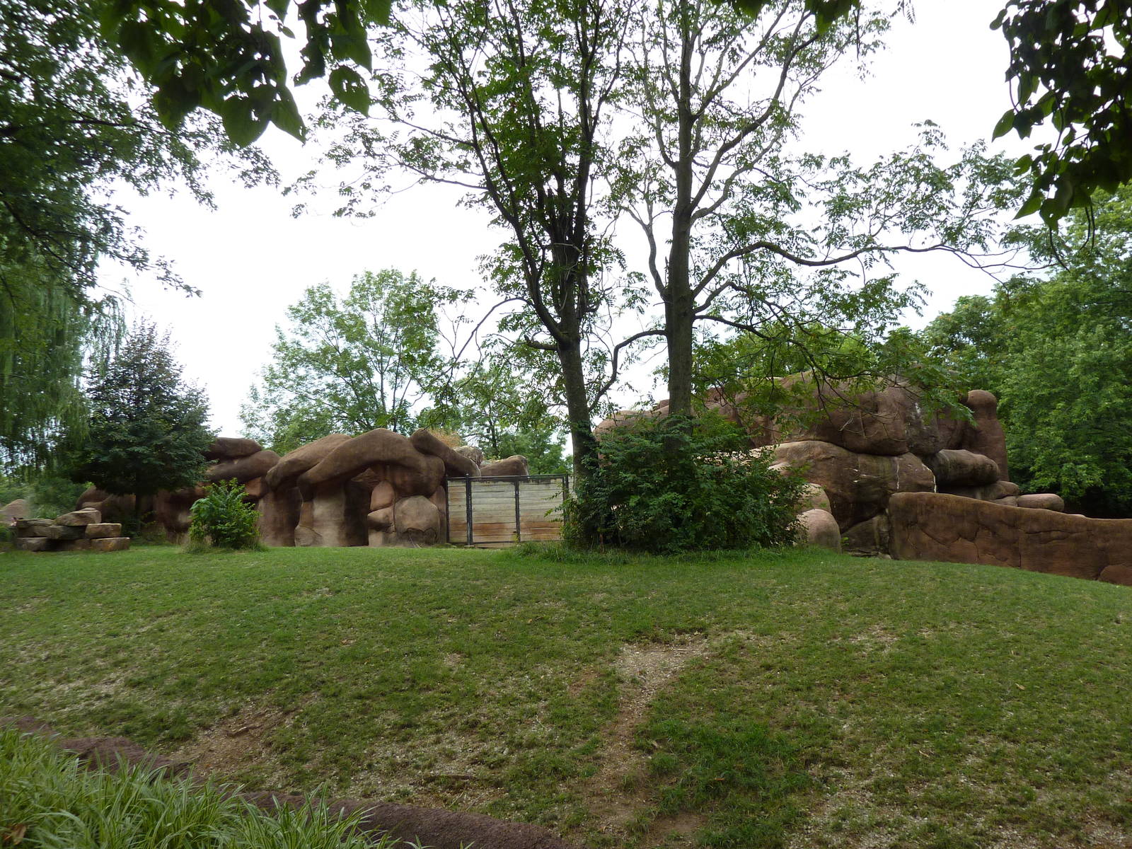 Red Rocks - Chinese Goral/SichuanTakin/Indian Muntjac Exhibit