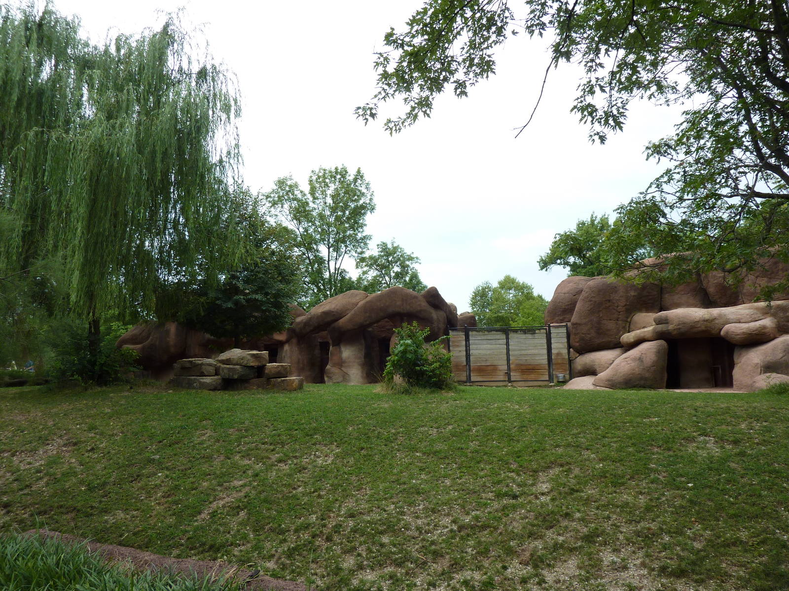 Red Rocks - Chinese Goral/SichuanTakin/Indian Muntjac Exhibit