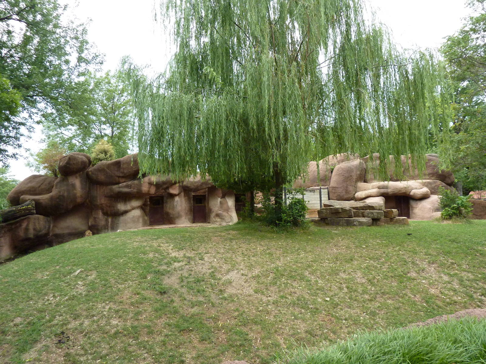 Red Rocks - Chinese Goral/SichuanTakin/Indian Muntjac Exhibit