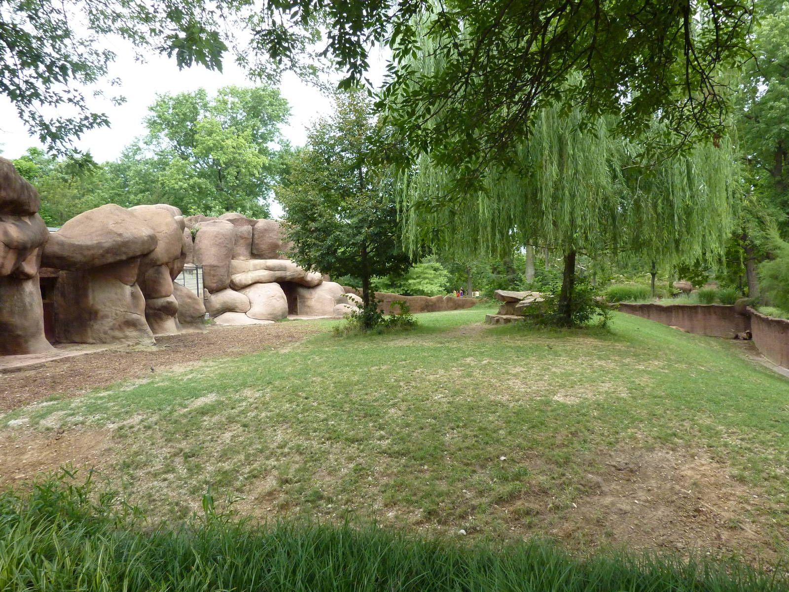 Red Rocks - Chinese Goral/SichuanTakin/Indian Muntjac Exhibit