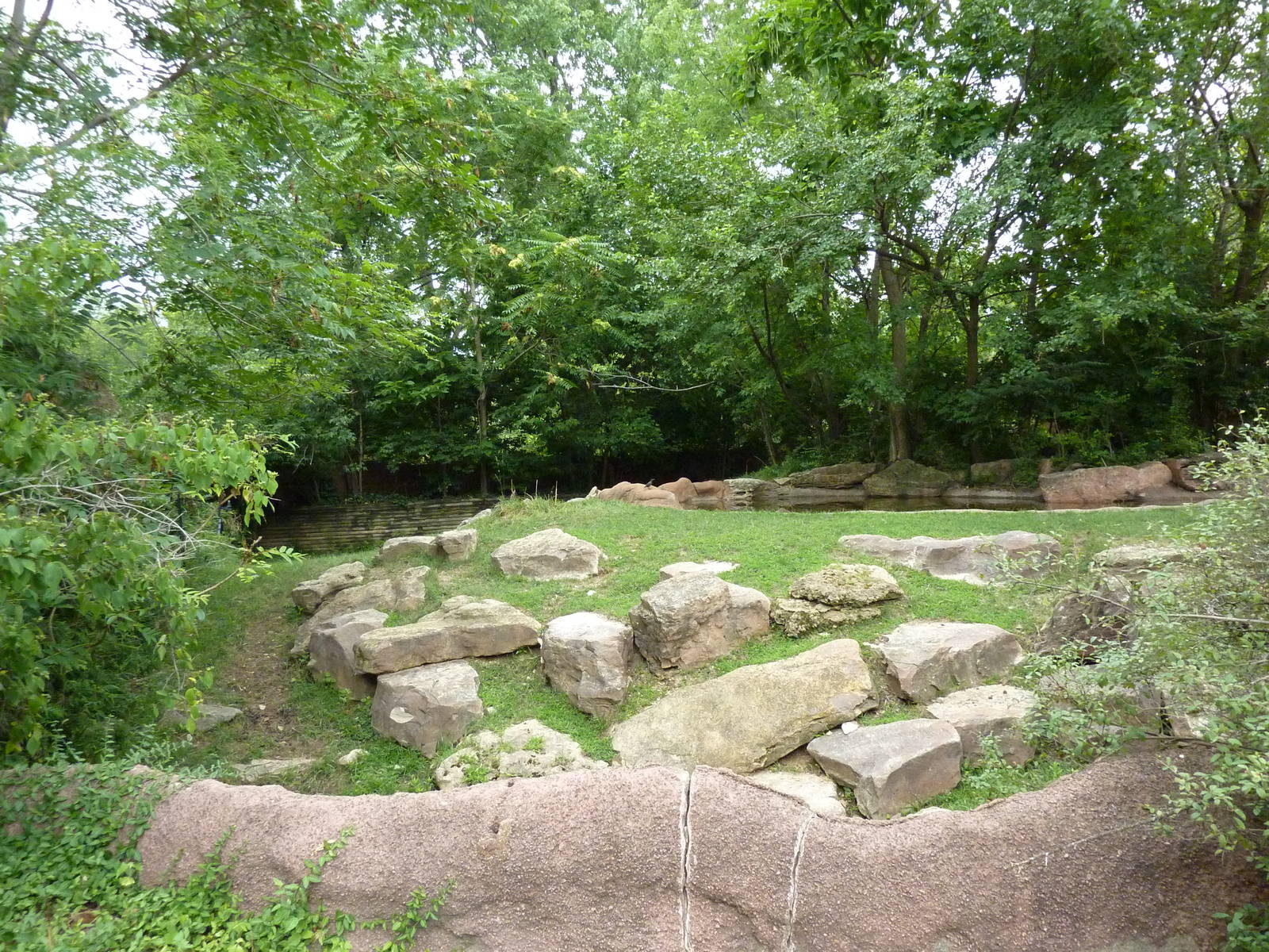 Red Rocks - Indian Muntjac/Sichuan Takin Exhibit