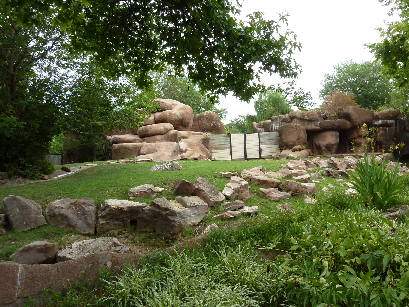 Red Rocks - Indian Muntjac/Sichuan Takin Exhibit