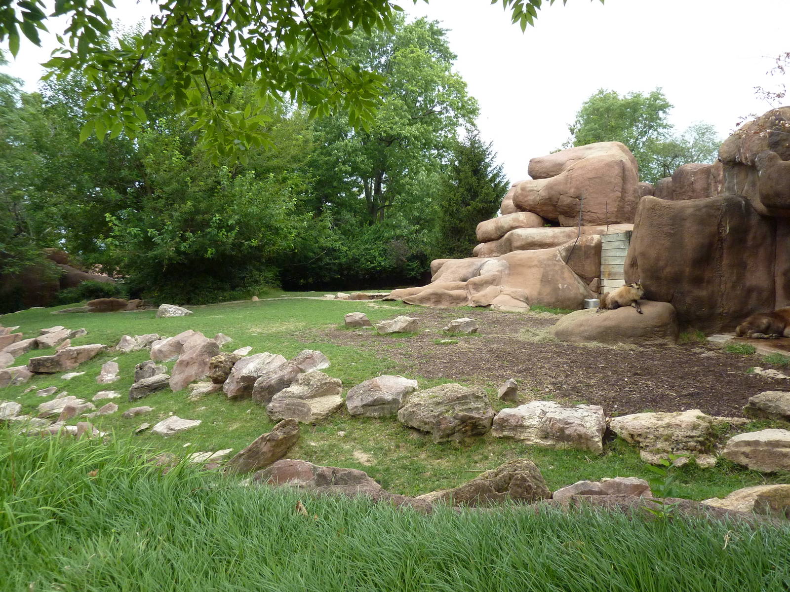 Red Rocks - Indian Muntjac/Sichuan Takin Exhibit