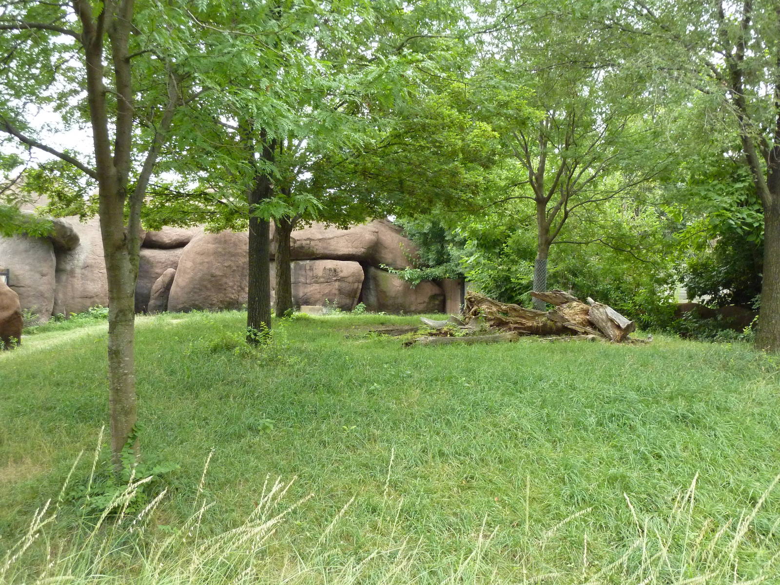 Red Rocks - Lesser Kudu/Cuvier's Gazelle Exhibit