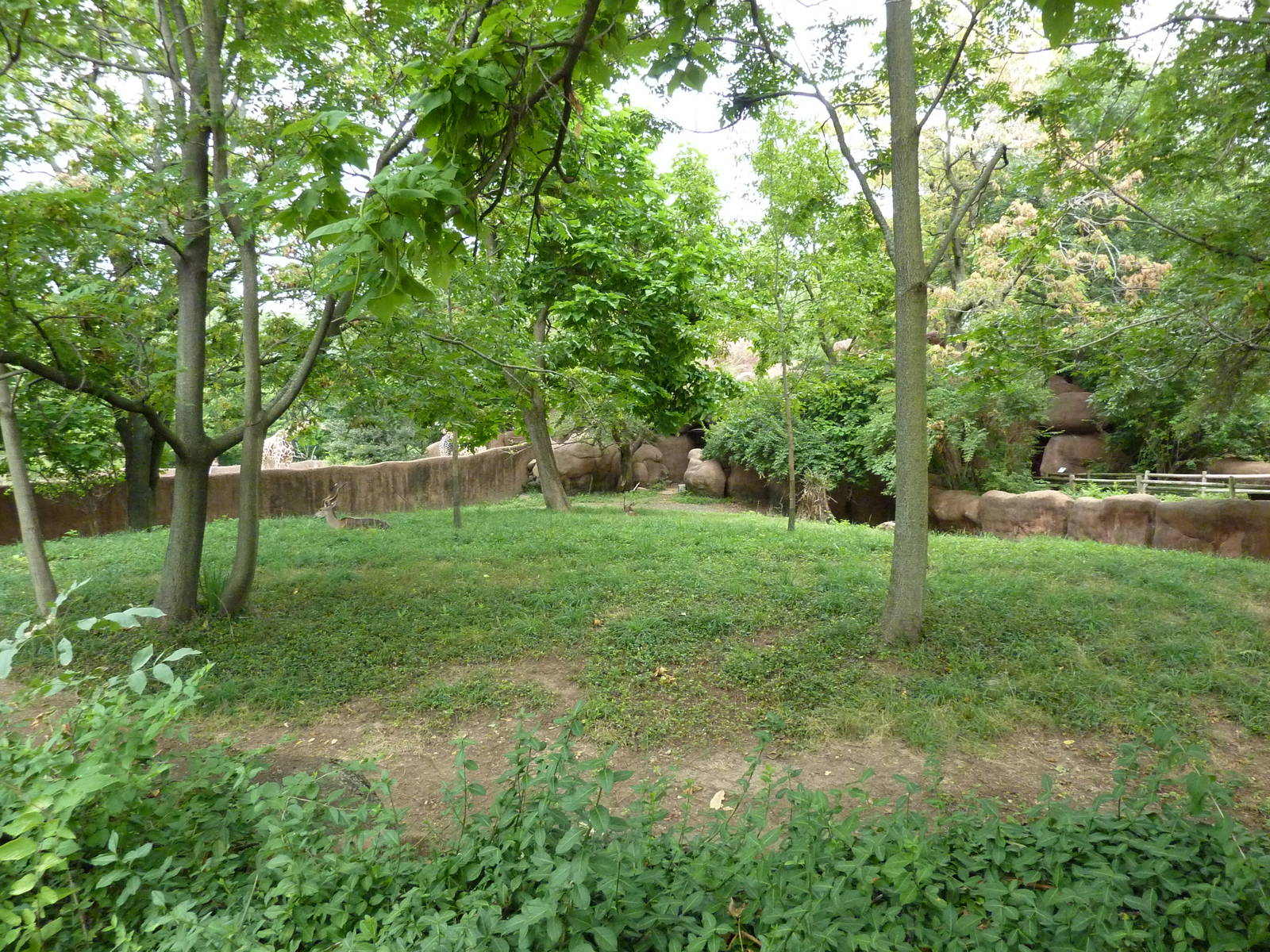 Red Rocks - Lesser Kudu/Cuvier's Gazelle Exhibit