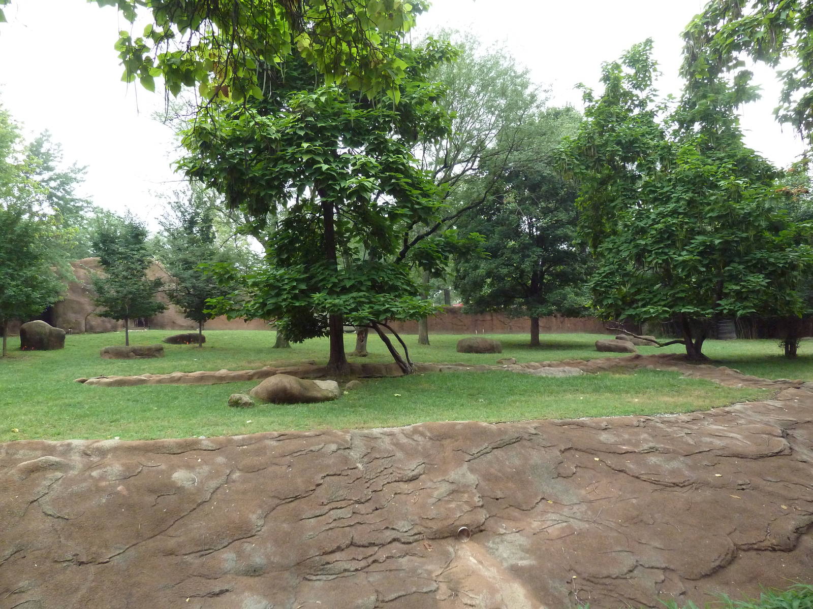 Red Rocks - Lesser Kudu + Saddle-Billed Stork Exhibit