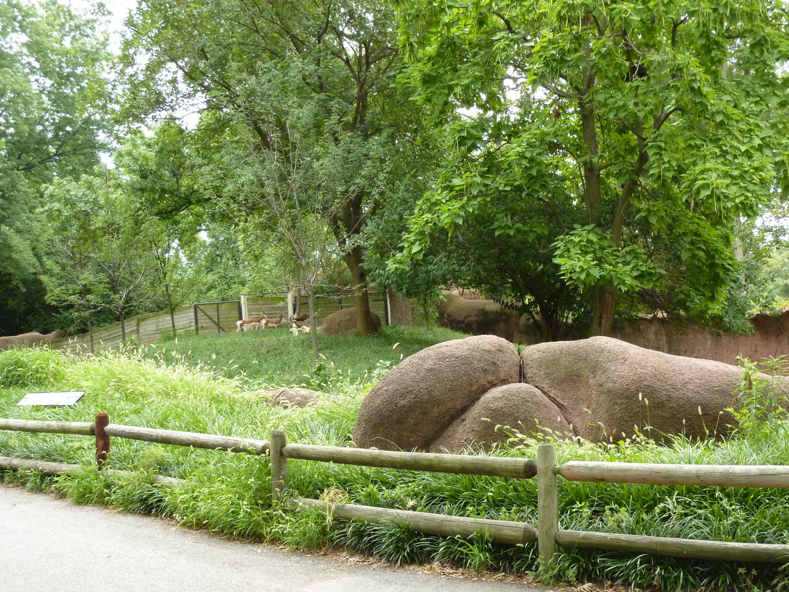 Red Rocks - Mhorr Gazelle/Wattled Crane/Helmeted Guineafowl Exhibit