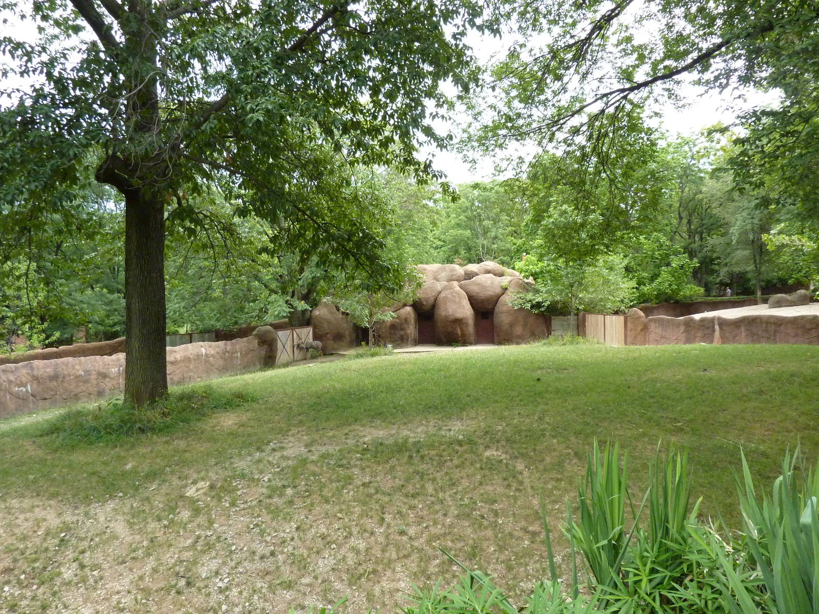 Red Rocks - Nyala Exhibit