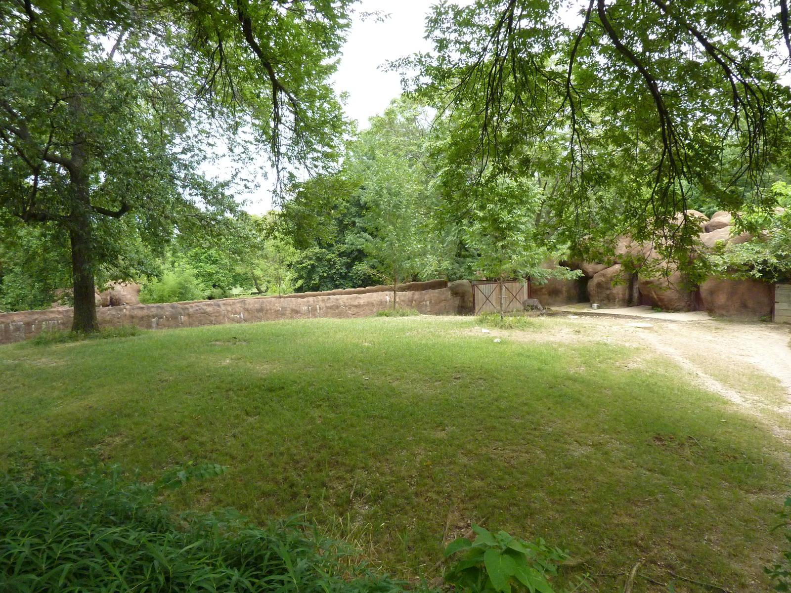 Red Rocks - Nyala Exhibit
