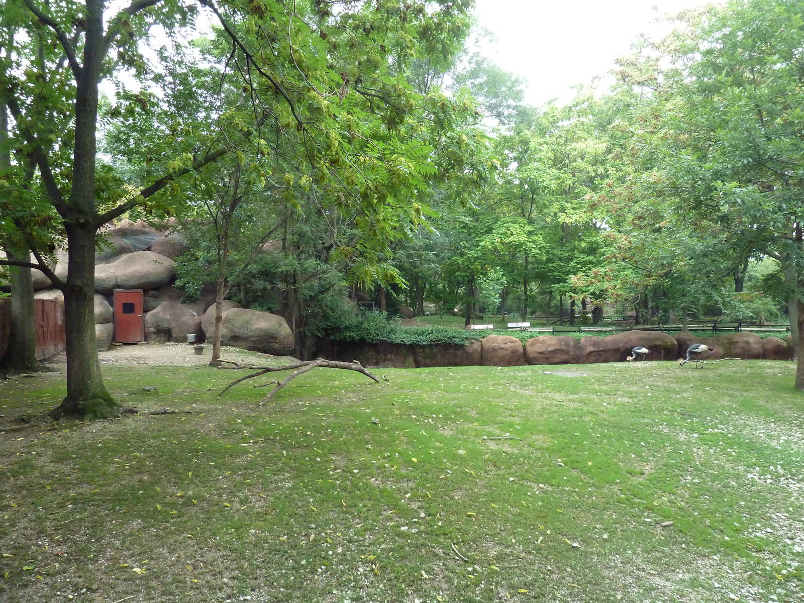 Red Rocks - Nyala/Red-Flanked Duiker/East African Crowned Crane Exhibit