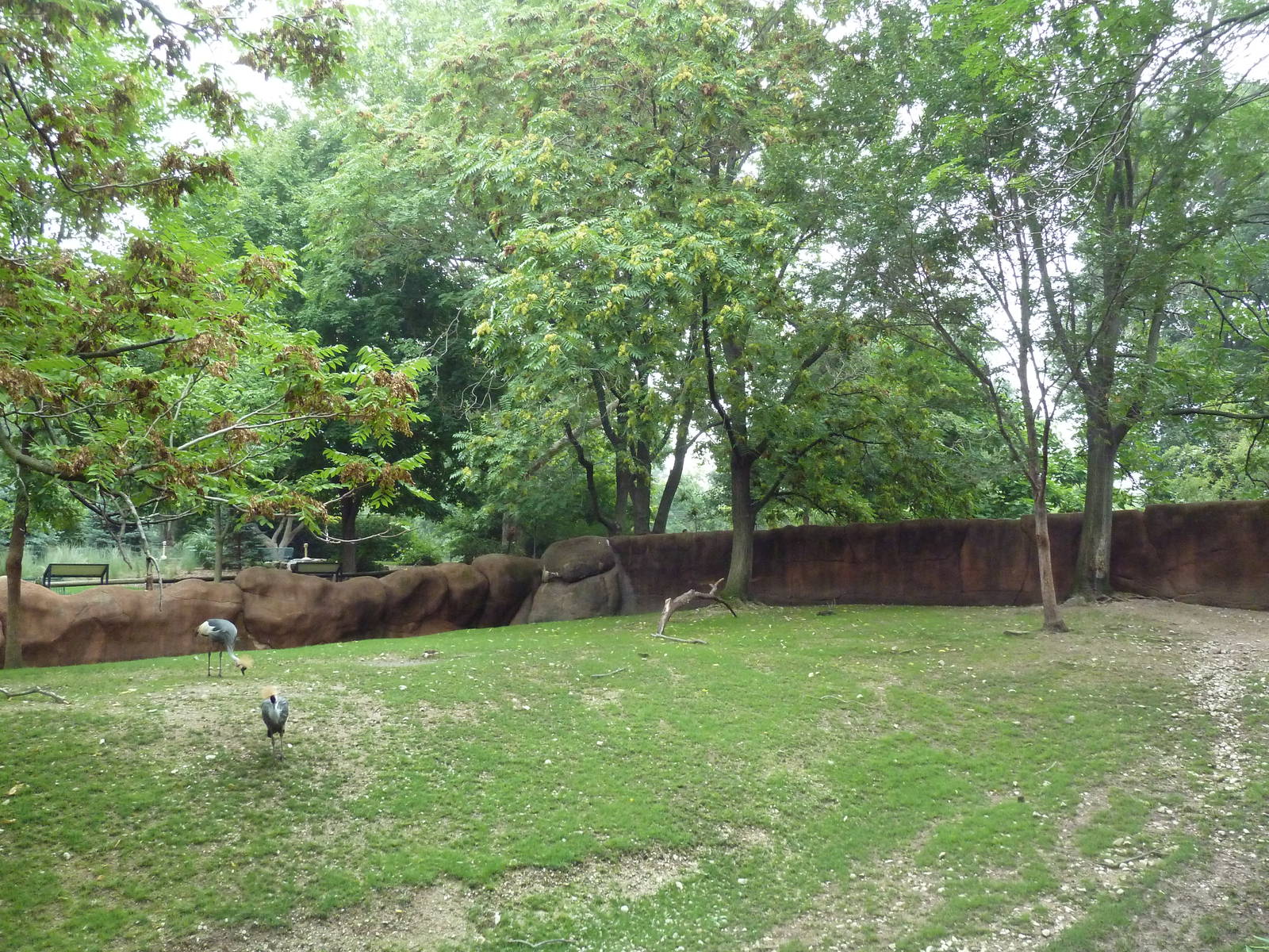 Red Rocks - Nyala/Red-Flanked Duiker/East African Crowned Crane Exhibit