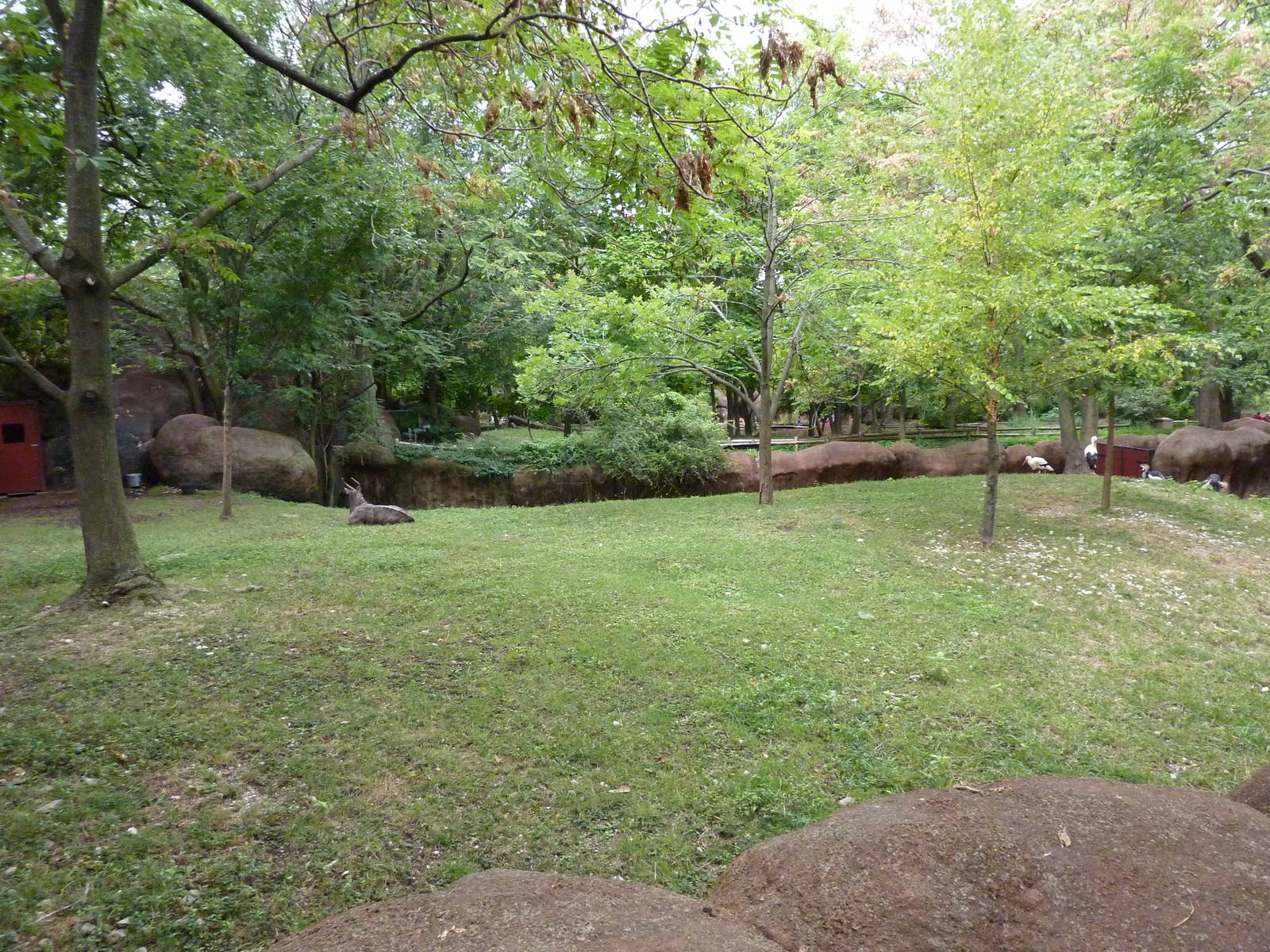 Red Rocks - Nyala/White Stork/East African Crowned Crane Exhibit