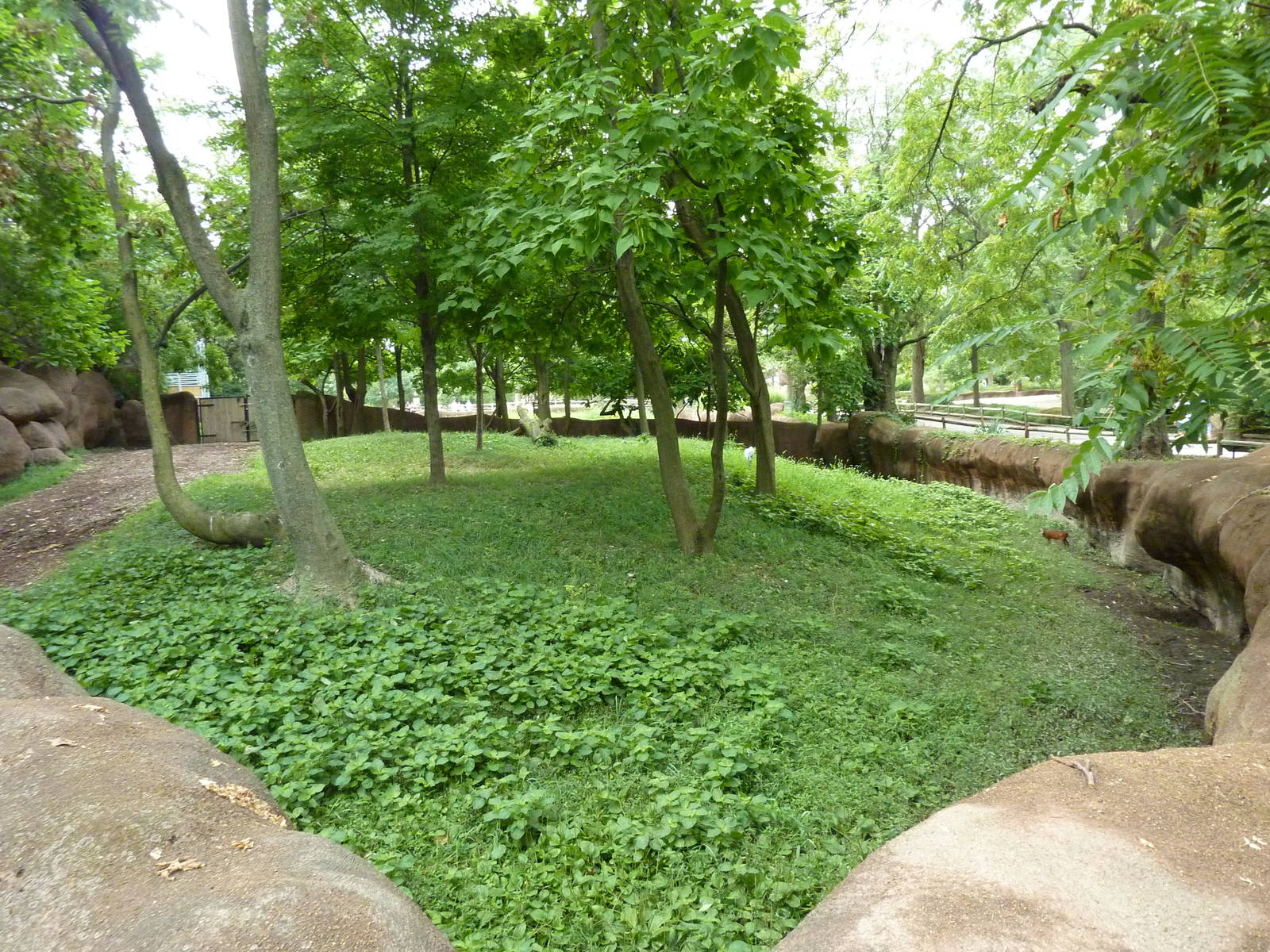 Red Rocks - Okapi/Red-Flanked Duiker/Blue Crane Exhibit