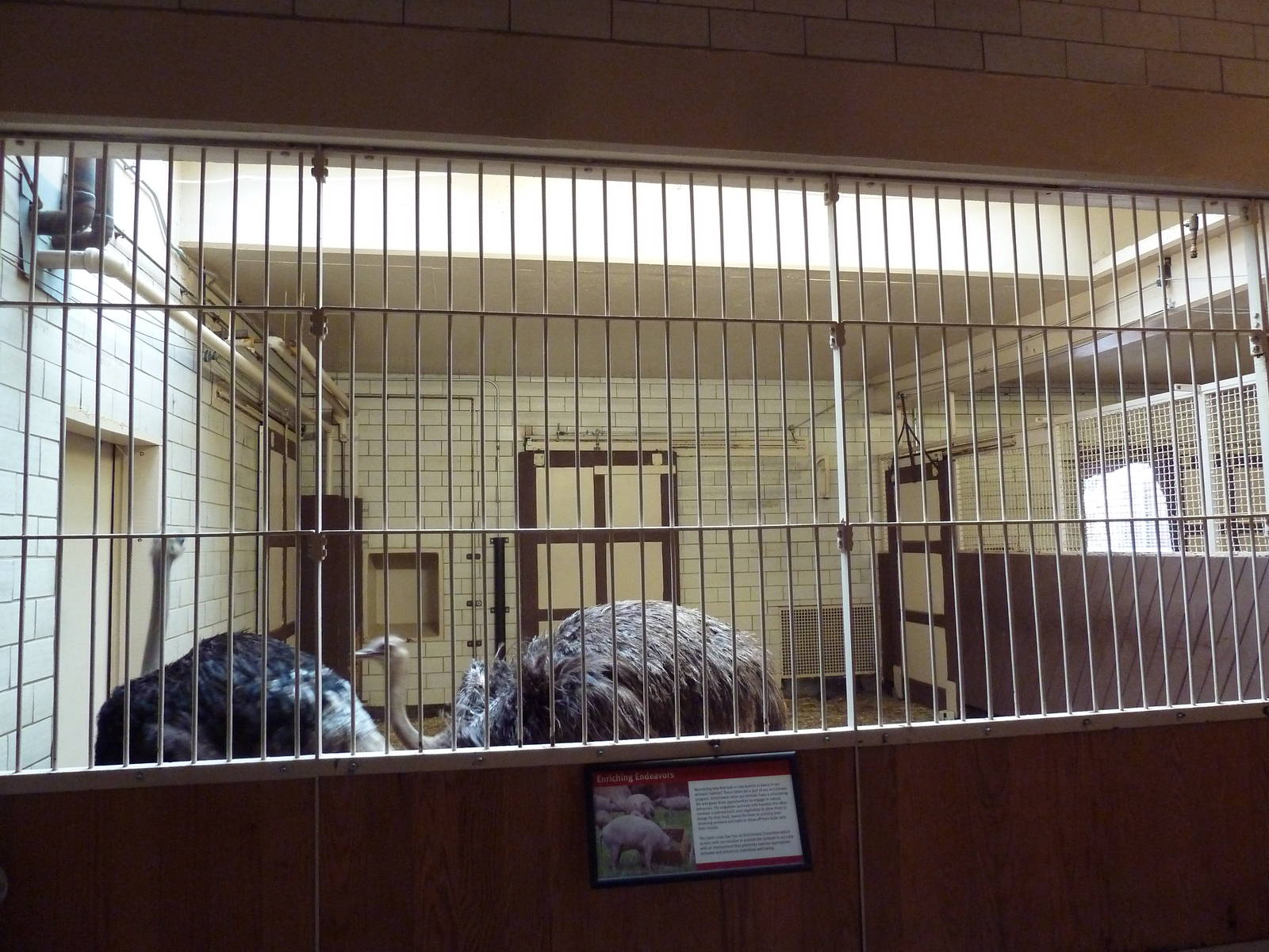 Red Rocks - Ostrich Stall