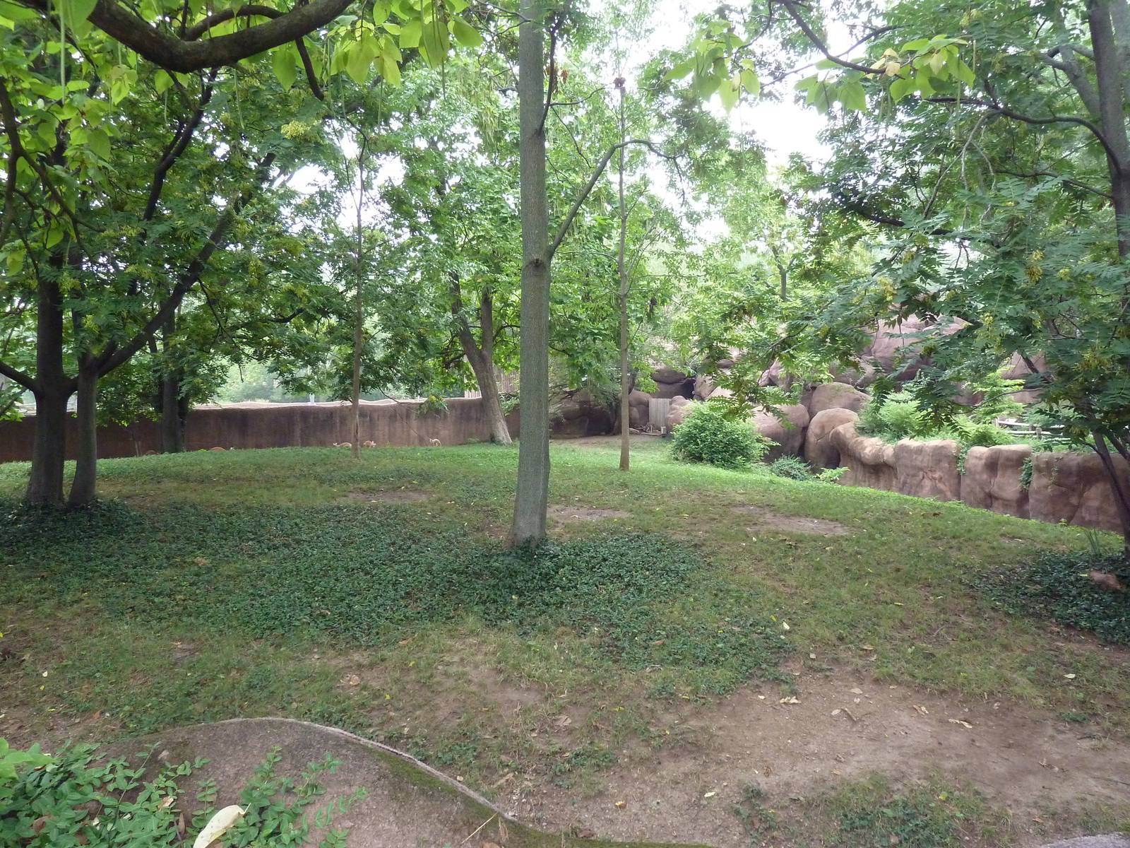 Red Rocks - Red Kangaroo + Tammar Wallaby Exhibit