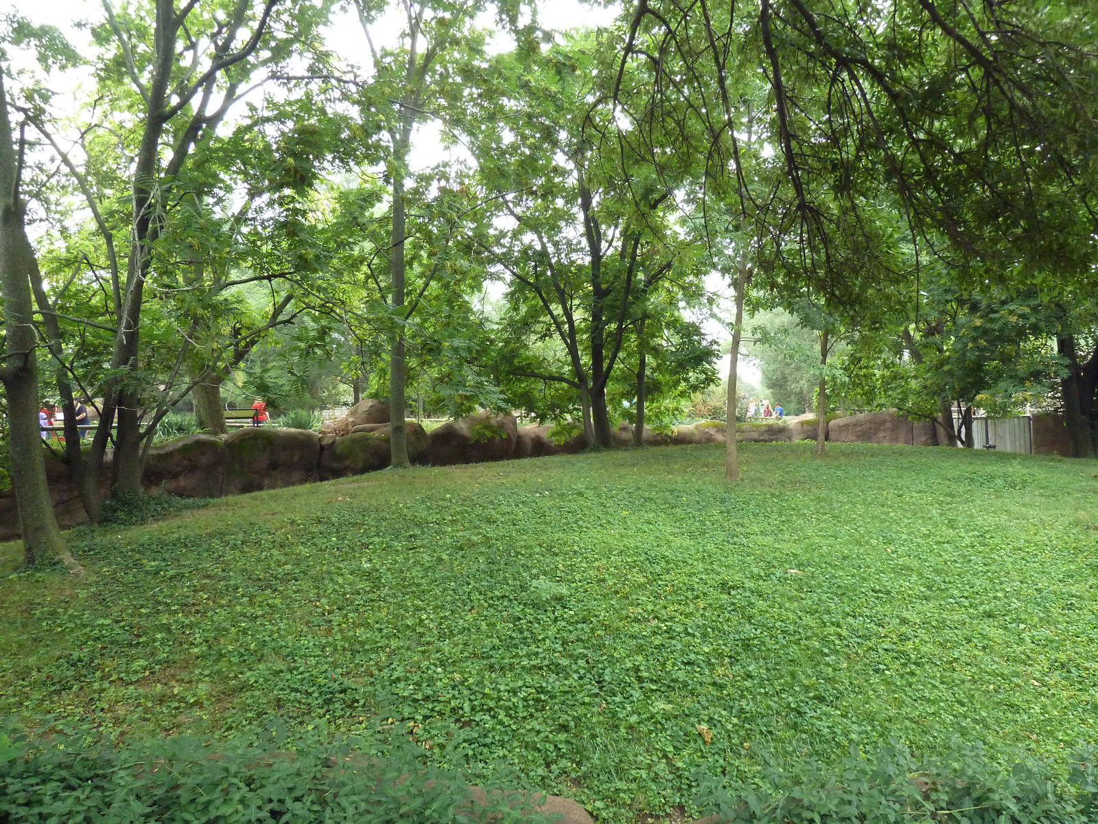 Red Rocks - Red Kangaroo + Tammar Wallaby Exhibit