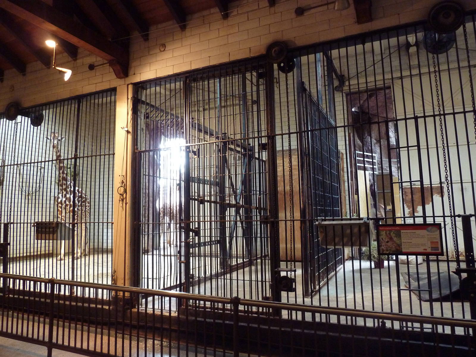 Red Rocks - Reticulated Giraffe Stall