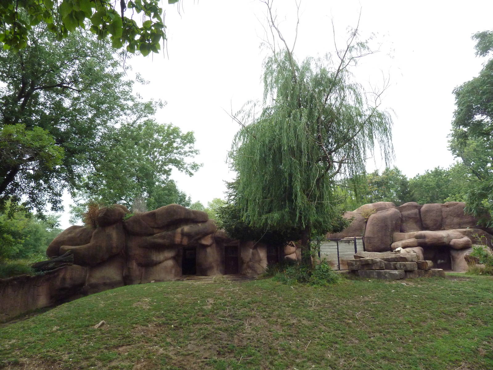 Red Rocks - Sichuan Takin/Chinese Goral Exhibit
