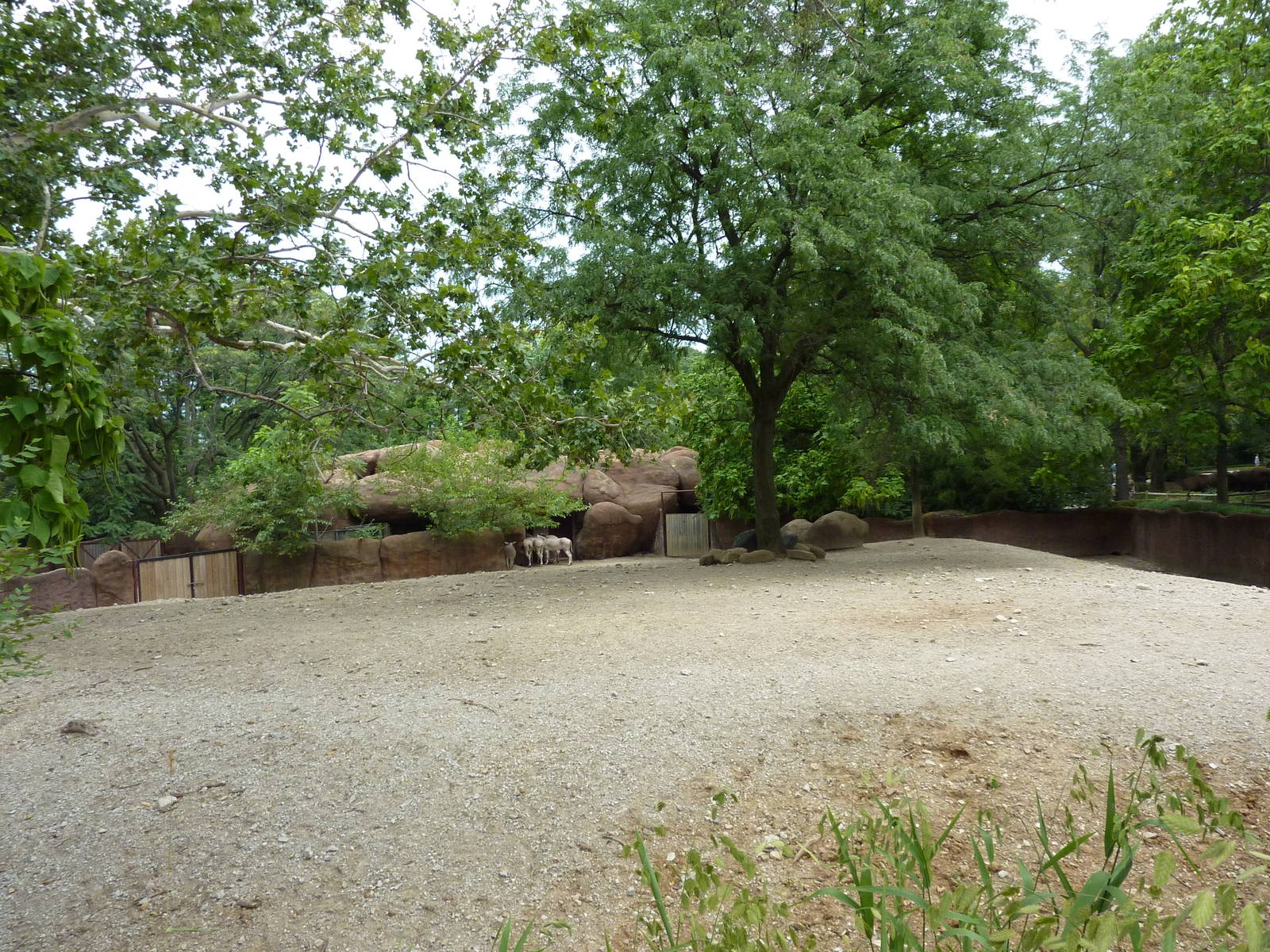 Red Rocks - Somali Wild Ass Exhibit