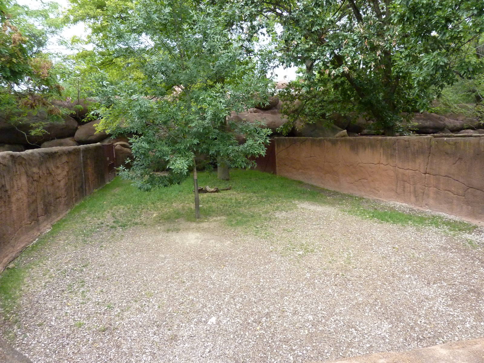 Red Rocks - Speke's Gazelle Exhibit