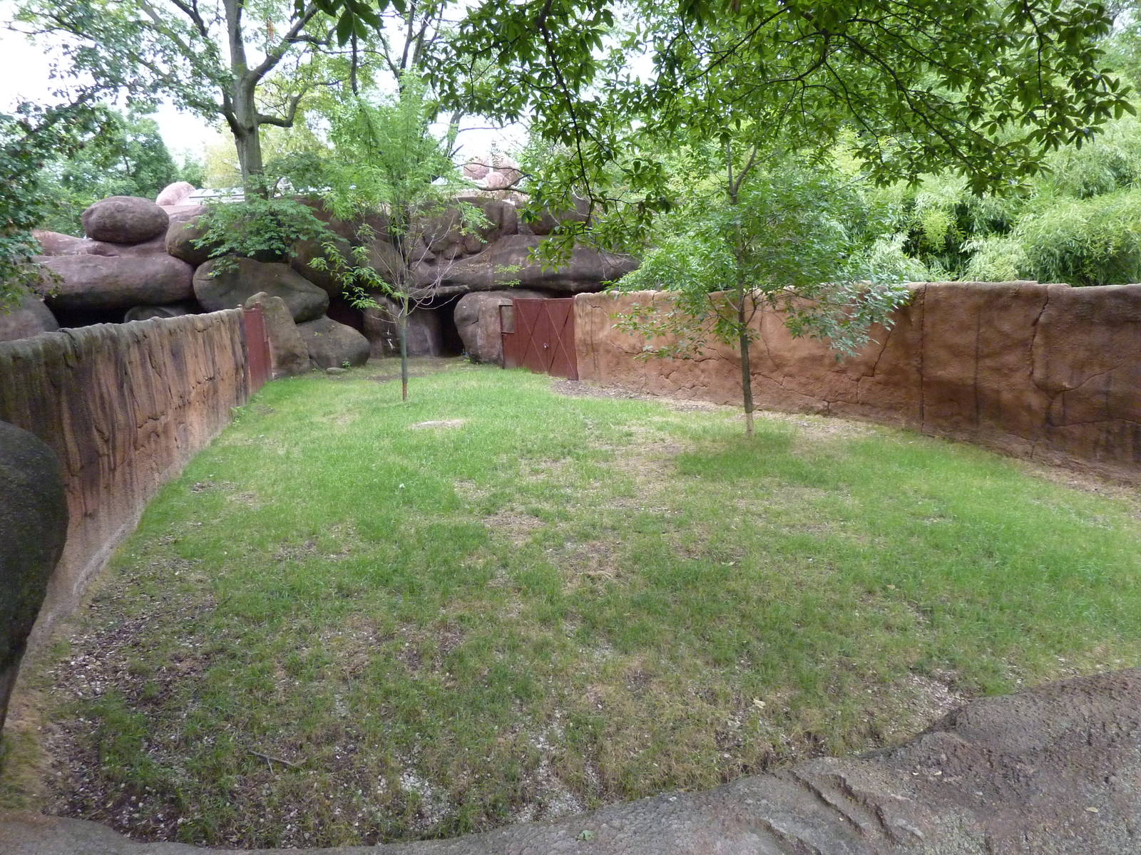 Red Rocks - Speke's Gazelle Exhibit