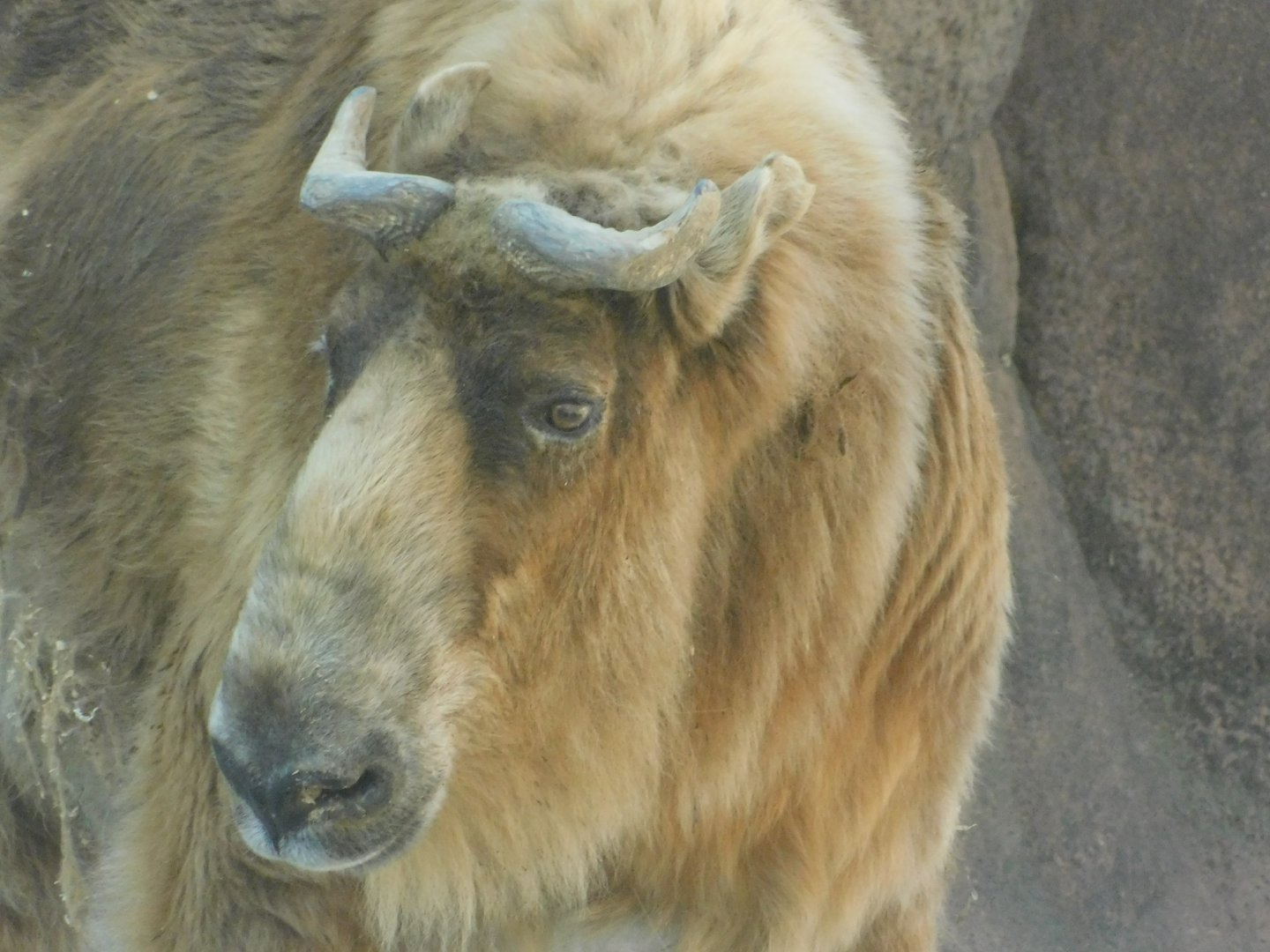 Red Rocks- Takin - February 27, 2022