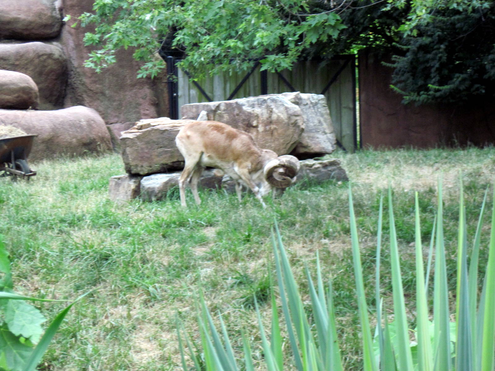 Red Rocks-Transcapian Ural