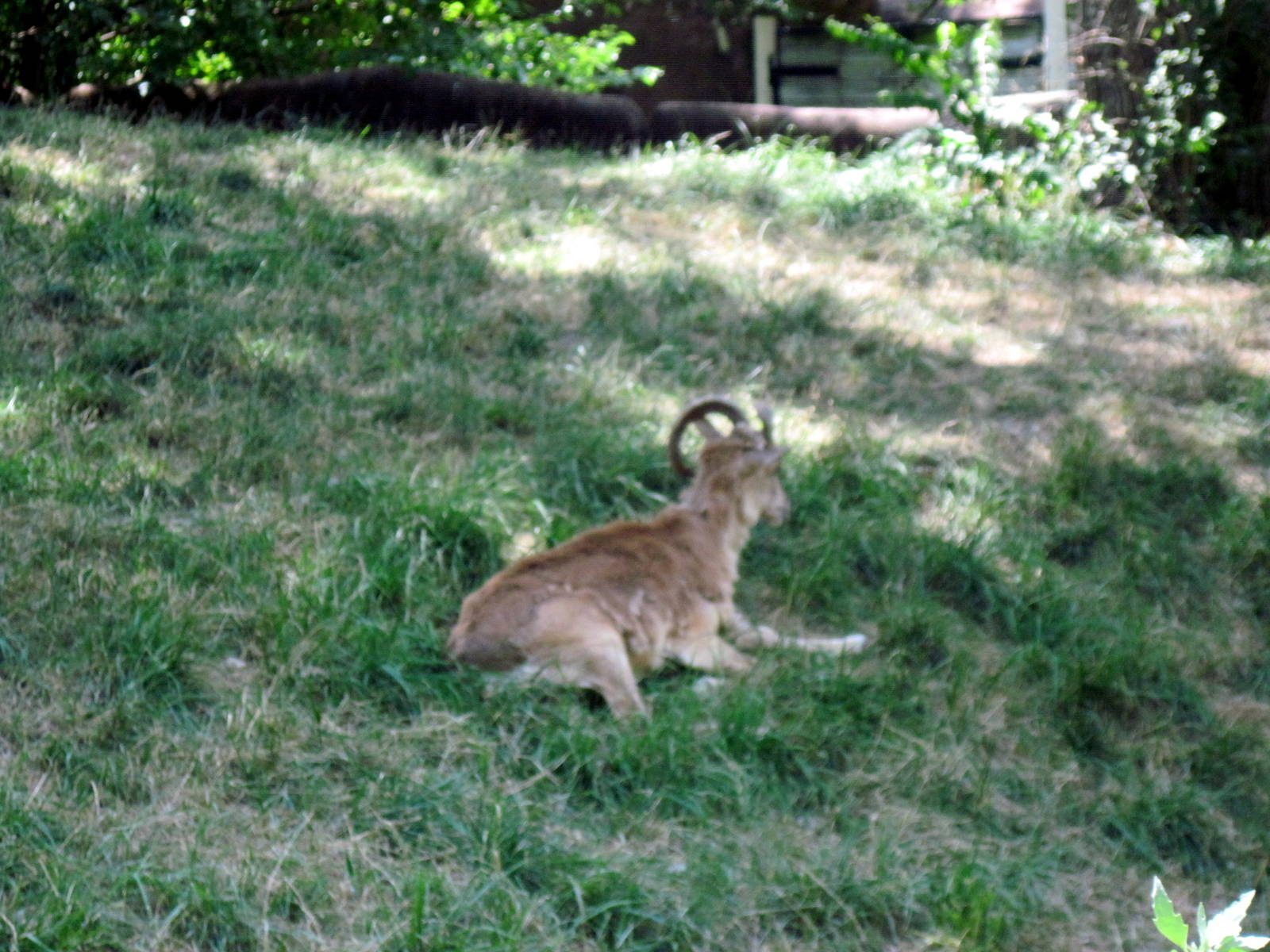 Red Rocks-Transcaspian Ural