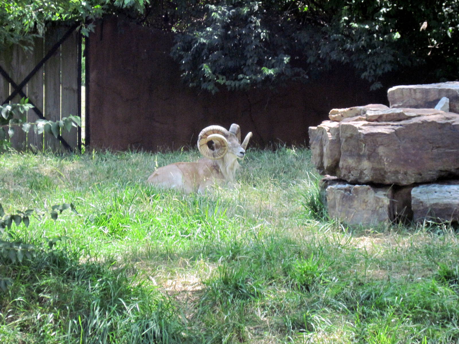 Red Rocks-Transcaspian Ural