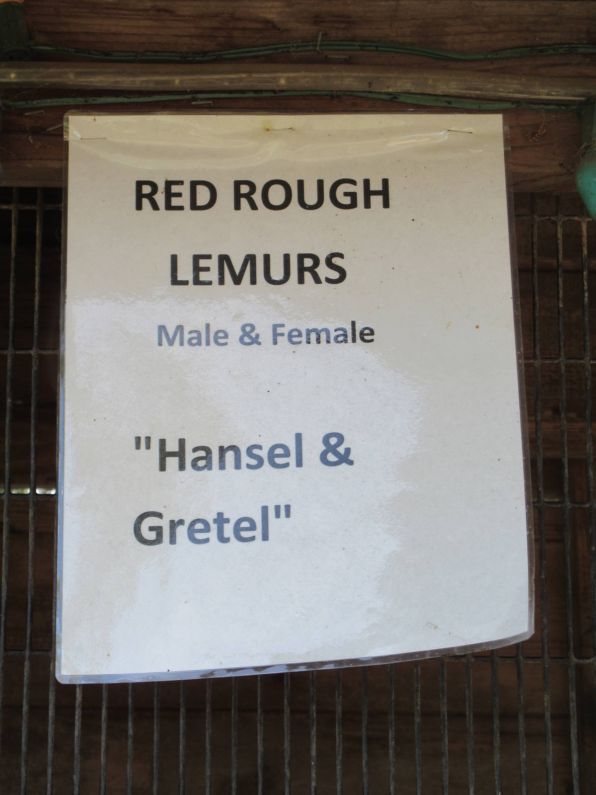 Red ROUGH Lemur Sign