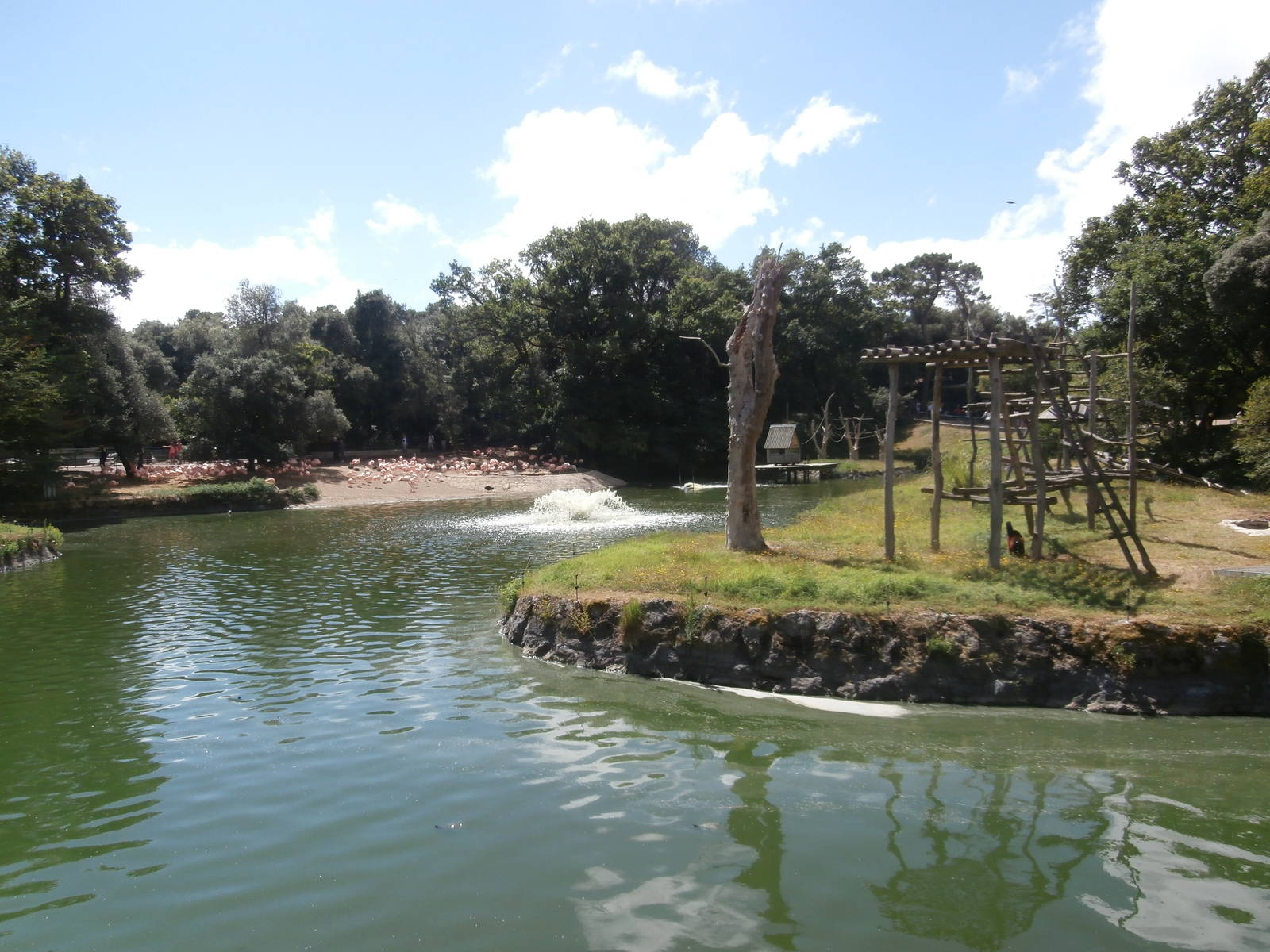 Red ruffed lemur and Chilean flamingo enclosures