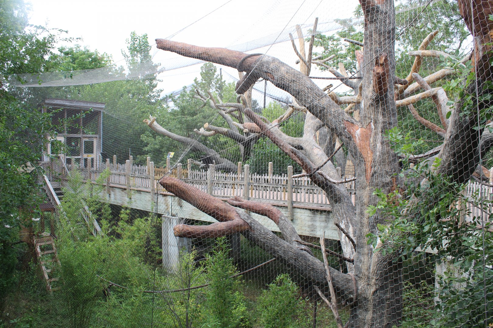 Red-Ruffed Lemur & Black and White Ruffed Lemur Walkthrough Exhibit - Expedition Madagascar