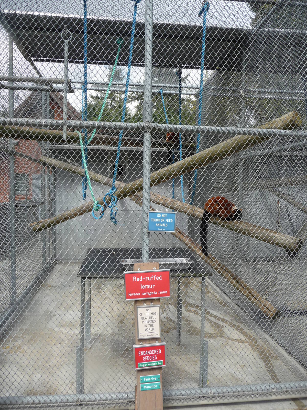 Red Ruffed Lemur Cage