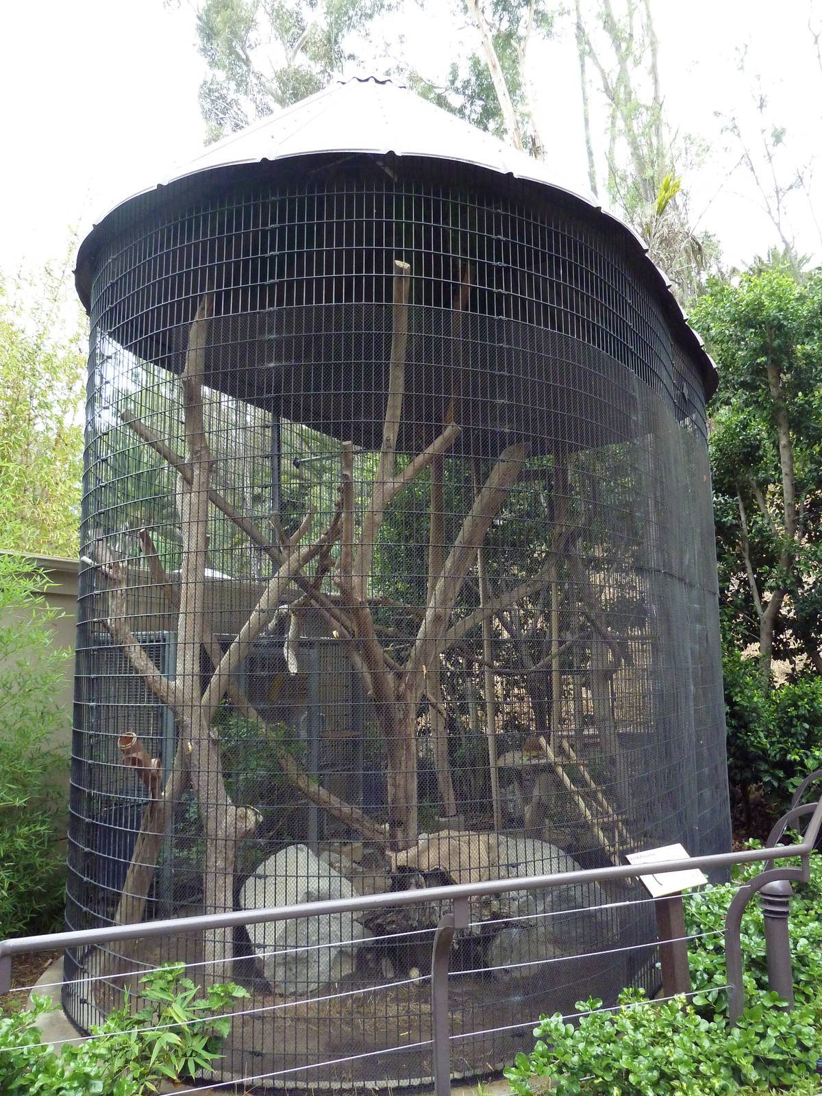 Red Ruffed Lemur Cage