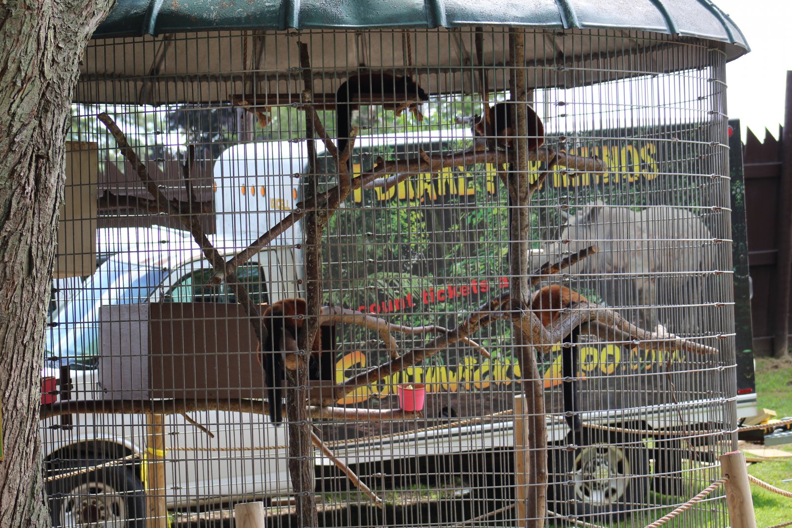 Red Ruffed Lemur Cage