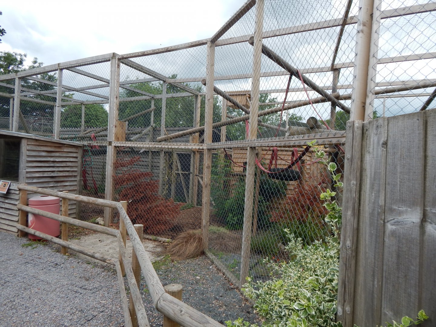 Red ruffed lemur enclosure 060625