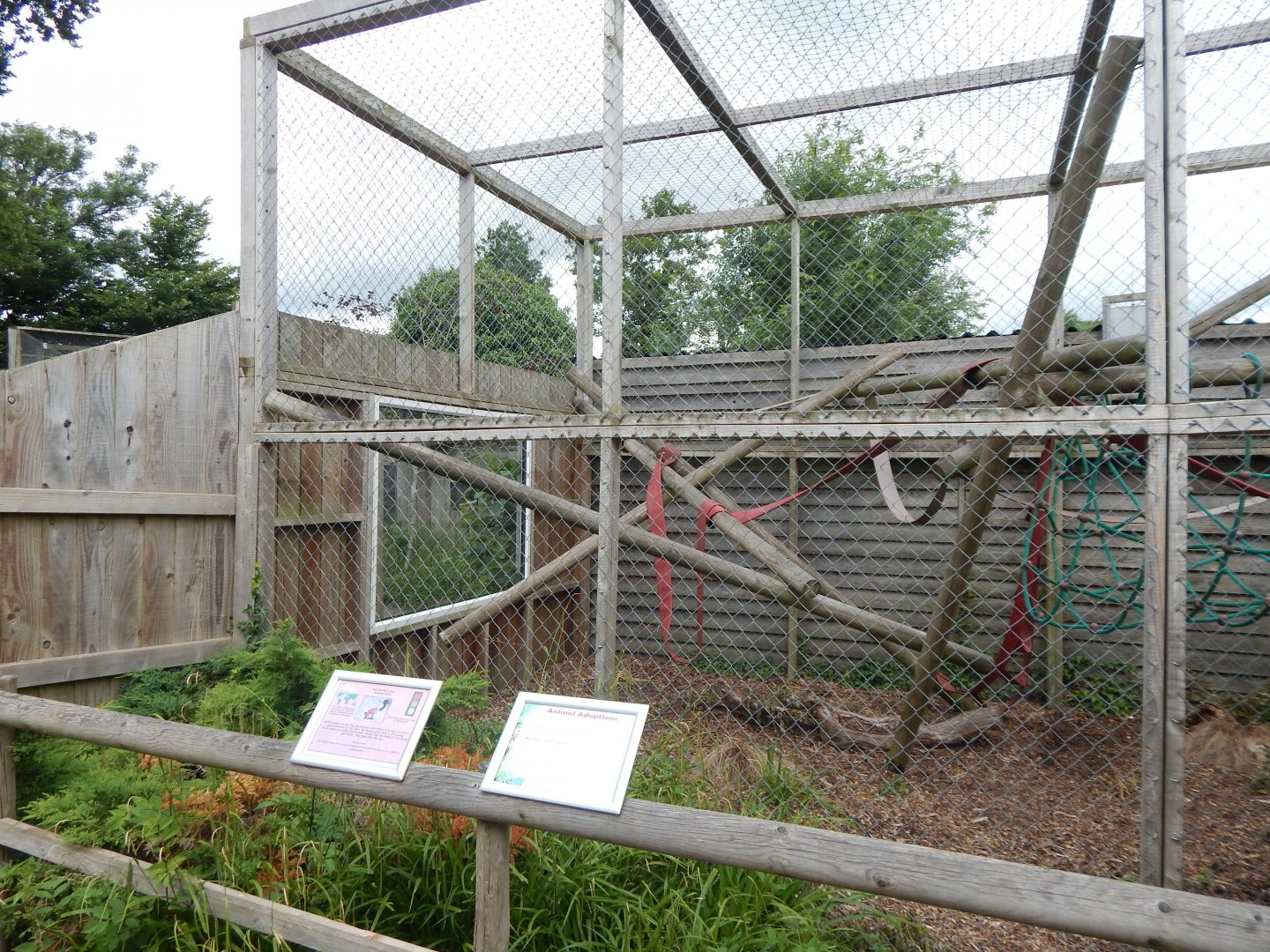 Red ruffed lemur enclosure 060625