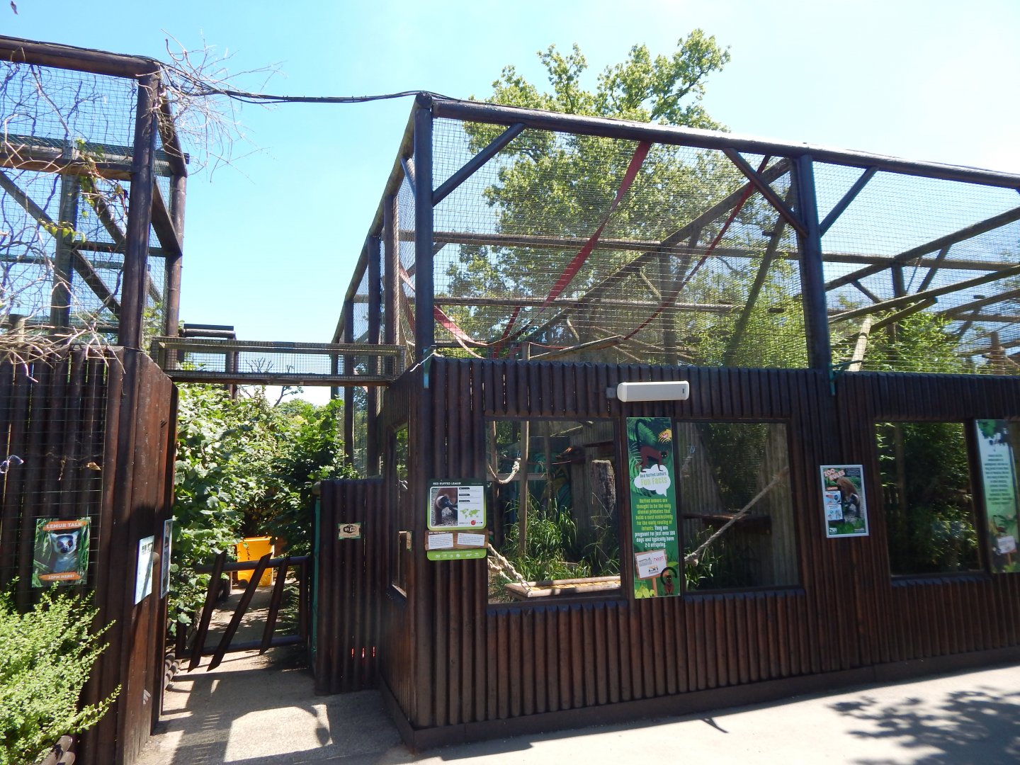 Red ruffed lemur enclosure 100722