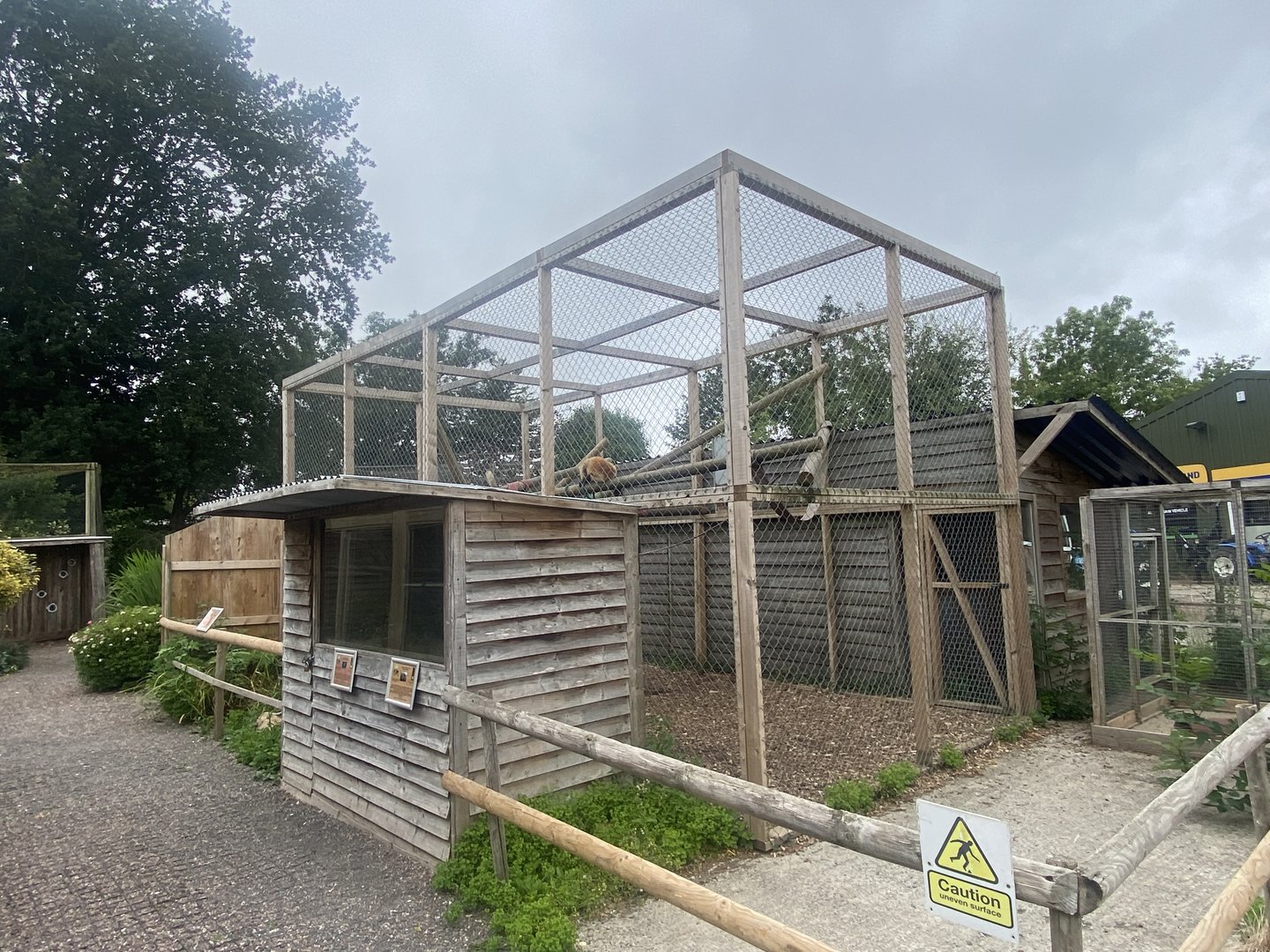 Red ruffed lemur enclosure 300623