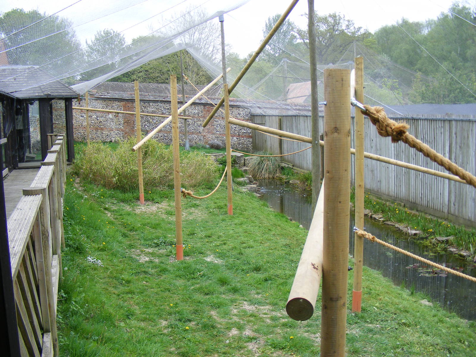 Red ruffed lemur enclosure at Marwell Wildlife, 9 May 2010