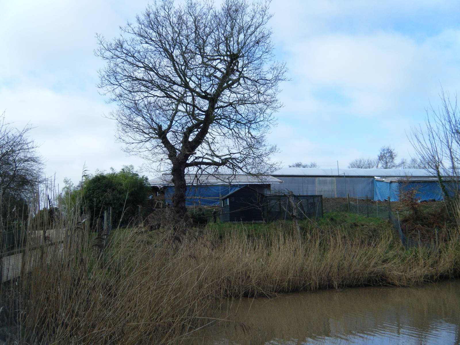 Red-Ruffed Lemur Enclosure