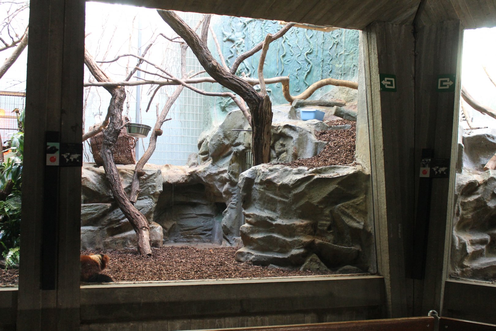 Red ruffed lemur enclosure