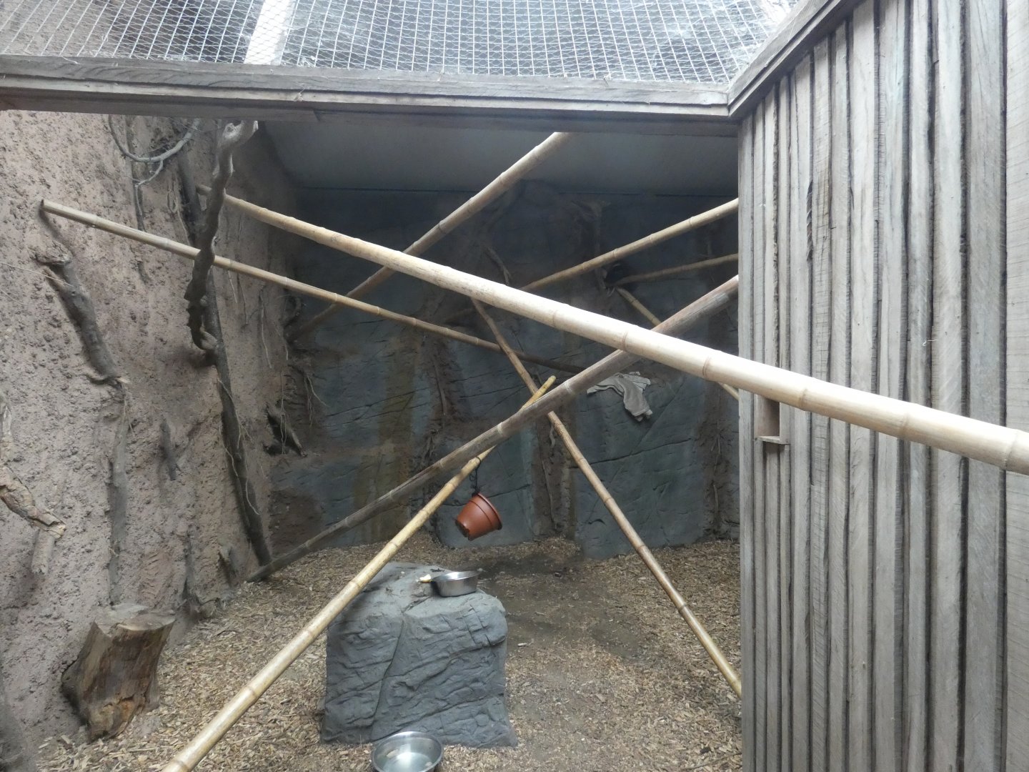 Red Ruffed Lemur enclosure